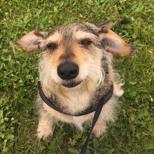 Meet your Posher, Adriana